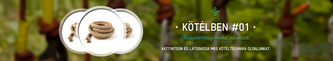 www.kordonoszloptest.koteltechnika.hu